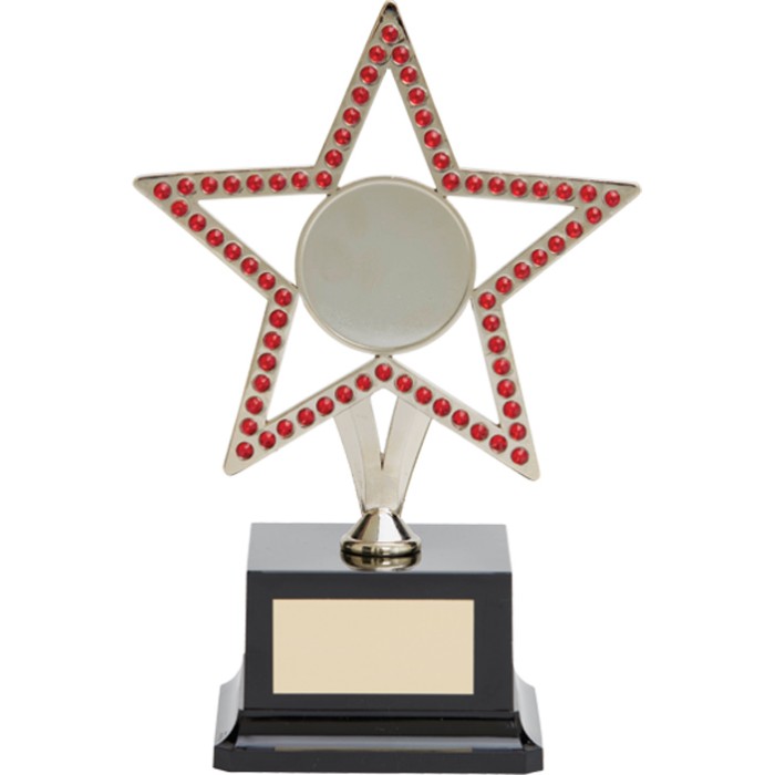  10'' SILVER METAL STAR WITH RED GEMSTONES - CHOICE OF SPORTS CENTRE 